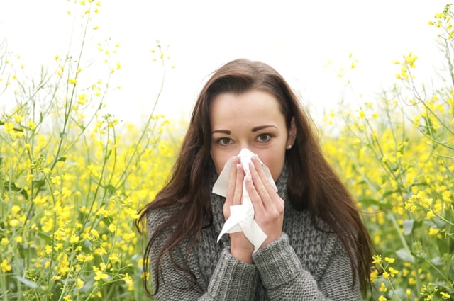 Hay Fever: Symptoms, Causes and Treatment