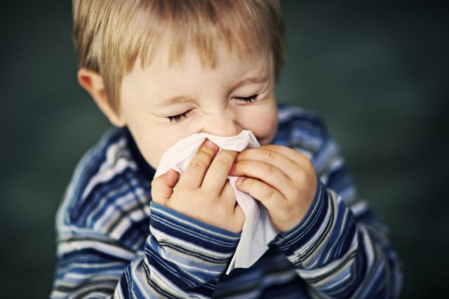 Hay Fever In Children